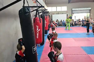 Red dragon kickboxing image