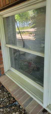 American Brothers Carpet Cleaning and Flooring LLC - Photo 7 - Car repair in , Fort Collins