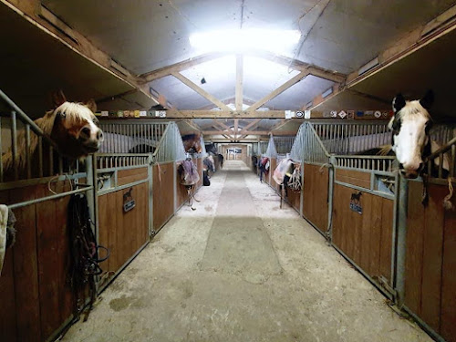 Ferme des 3 Allures à Serley