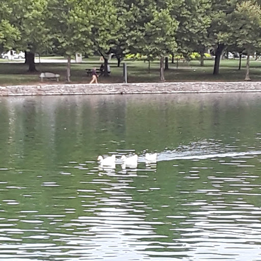 Art Museum «The Parthenon», reviews and photos, 2500 West End Ave, Nashville, TN 37203, USA