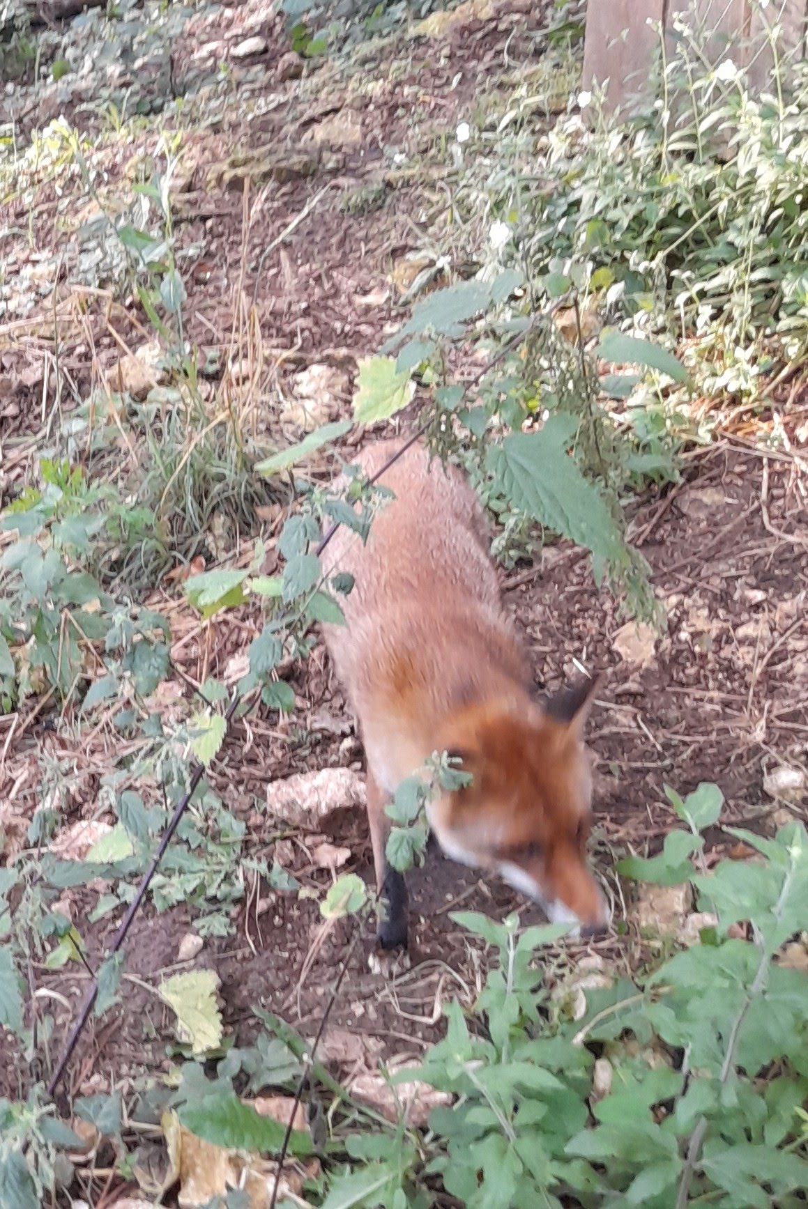 Photo n° 2 de l'avis de Gaëlle.e fait le 15/07/2023 à 16:57