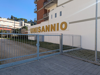 Università degli Studi del Sannio - Dipartimento Scienze e Tecnologie (DST) Via dei Mulini, 59/A, 82100 Benevento BN, Italia