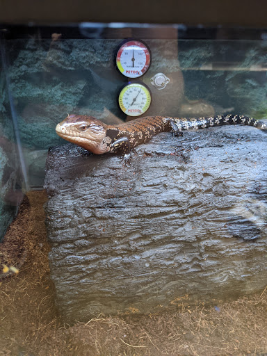 Pet Supply Store «Petco Animal Supplies», reviews and photos, 86 Storrs Rd, Mansfield Center, CT 06250, USA