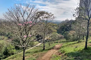 Mirante do banhado image