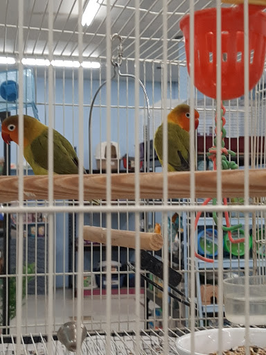 Pet Store «7 Seas Pet Care Center», reviews and photos, 13311 S Brandon Ave, Chicago, IL 60633, USA