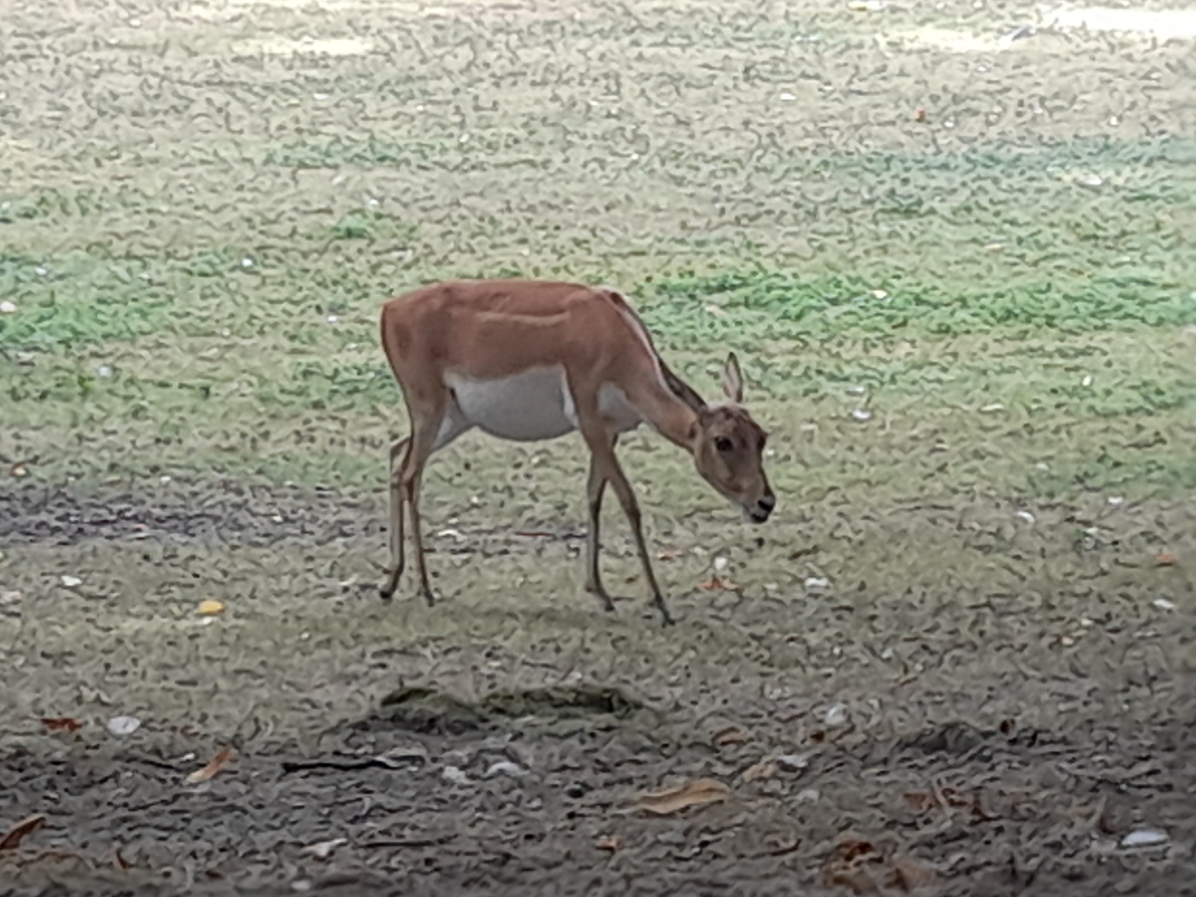 Photo n° 13 de l'avis de pauline.o fait le 15/08/2022 à 18:00