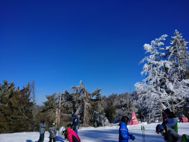 Scoala de ski si snowboard SuperSki - <nil>