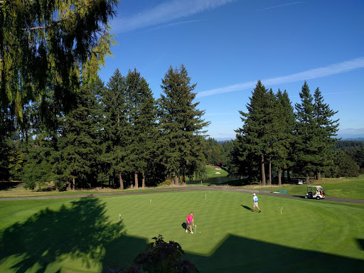 Tourist Attraction «NW Natural Street of Dreams», reviews and photos, SW Petes Mountain Rd, West Linn, OR 97068, USA