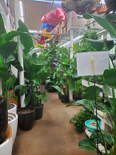 Florist «Metropolitan Plant & Flower», reviews and photos, 840 NJ-17, Paramus, NJ 07652, USA