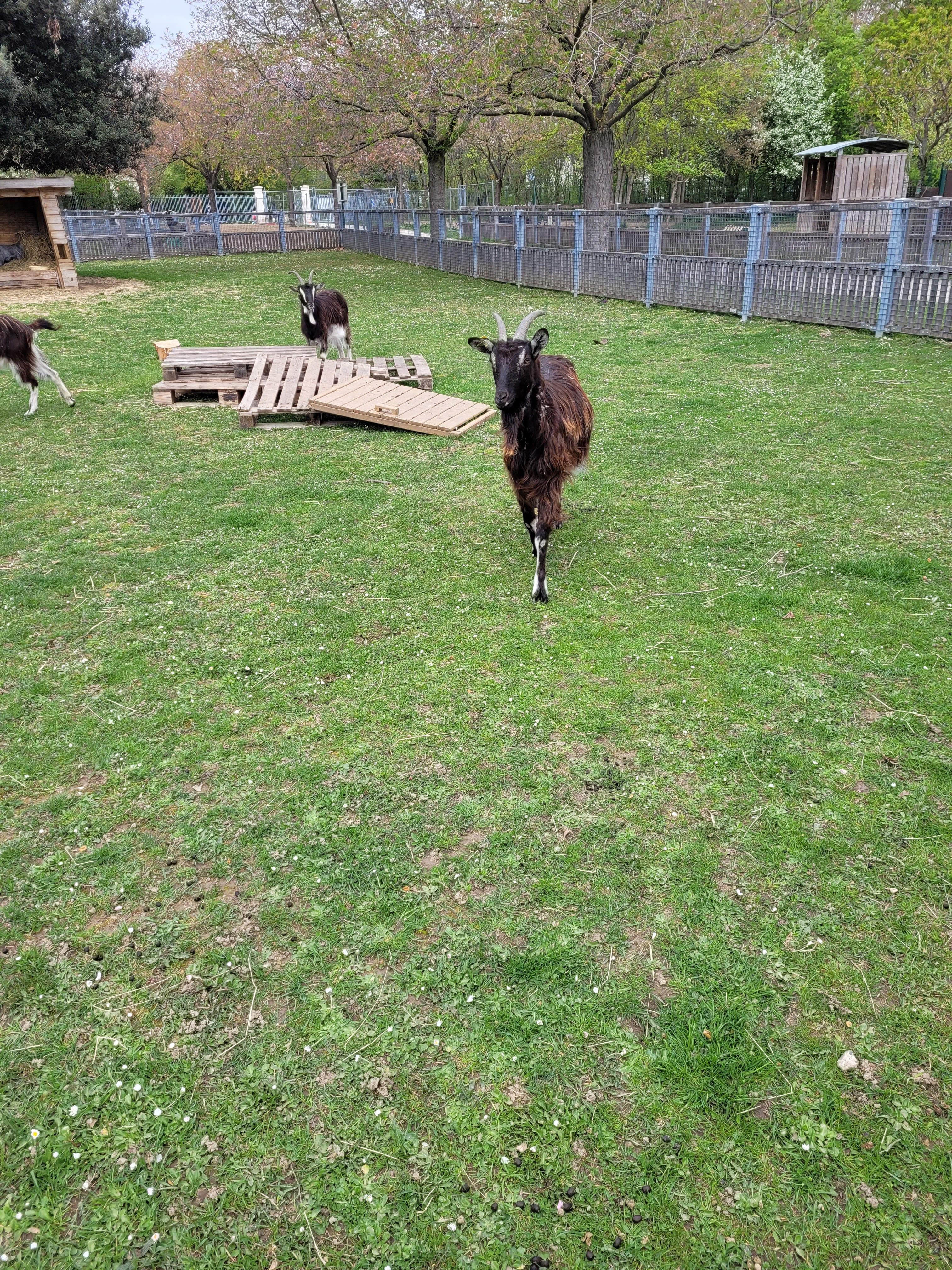 Photo n° 5 de l'avis de Axel.E fait le 23/04/2021 à 07:49