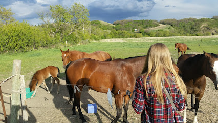 Beavercreek Ranch & Horse Ctr
