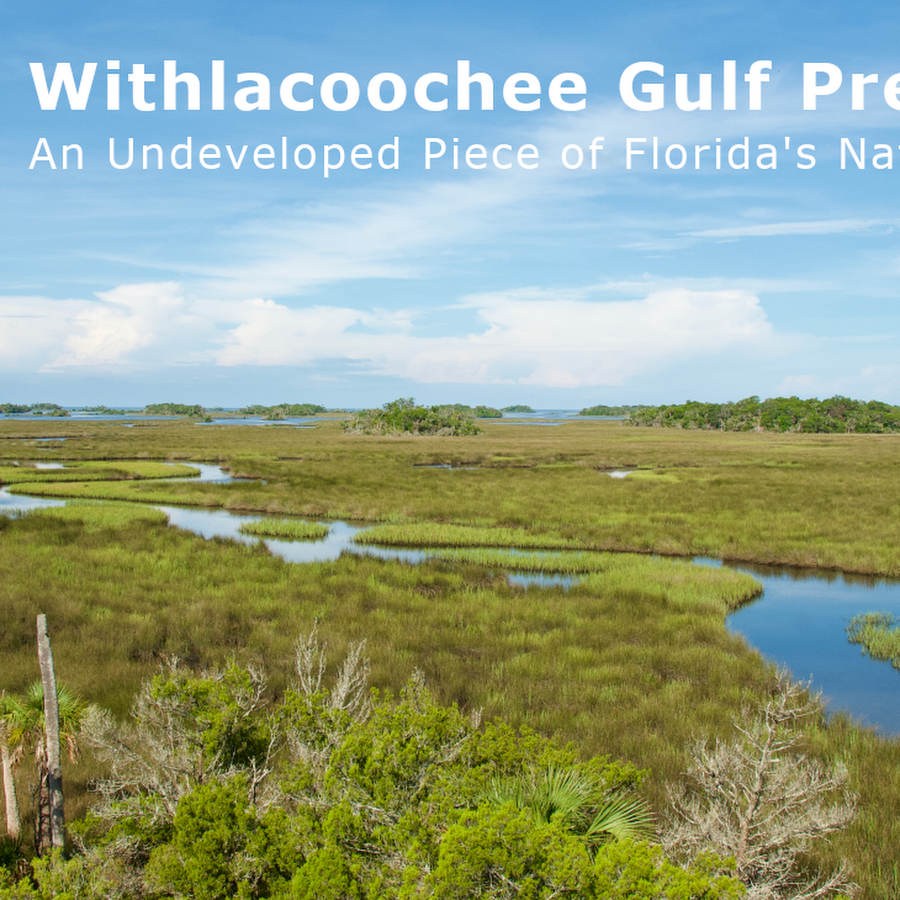 Withlacoochee Gulf Preserve