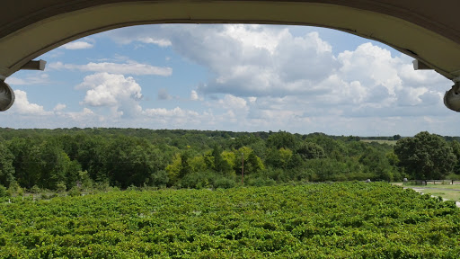 Winery «Tara Vineyard and Winery», reviews and photos, 8603 Co Rd 3914, Athens, TX 75752, USA