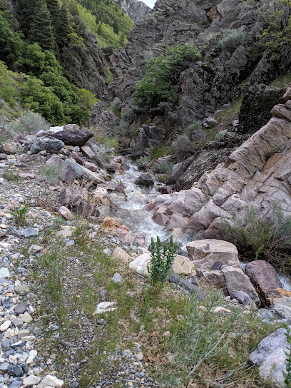 Slate Canyon Trail