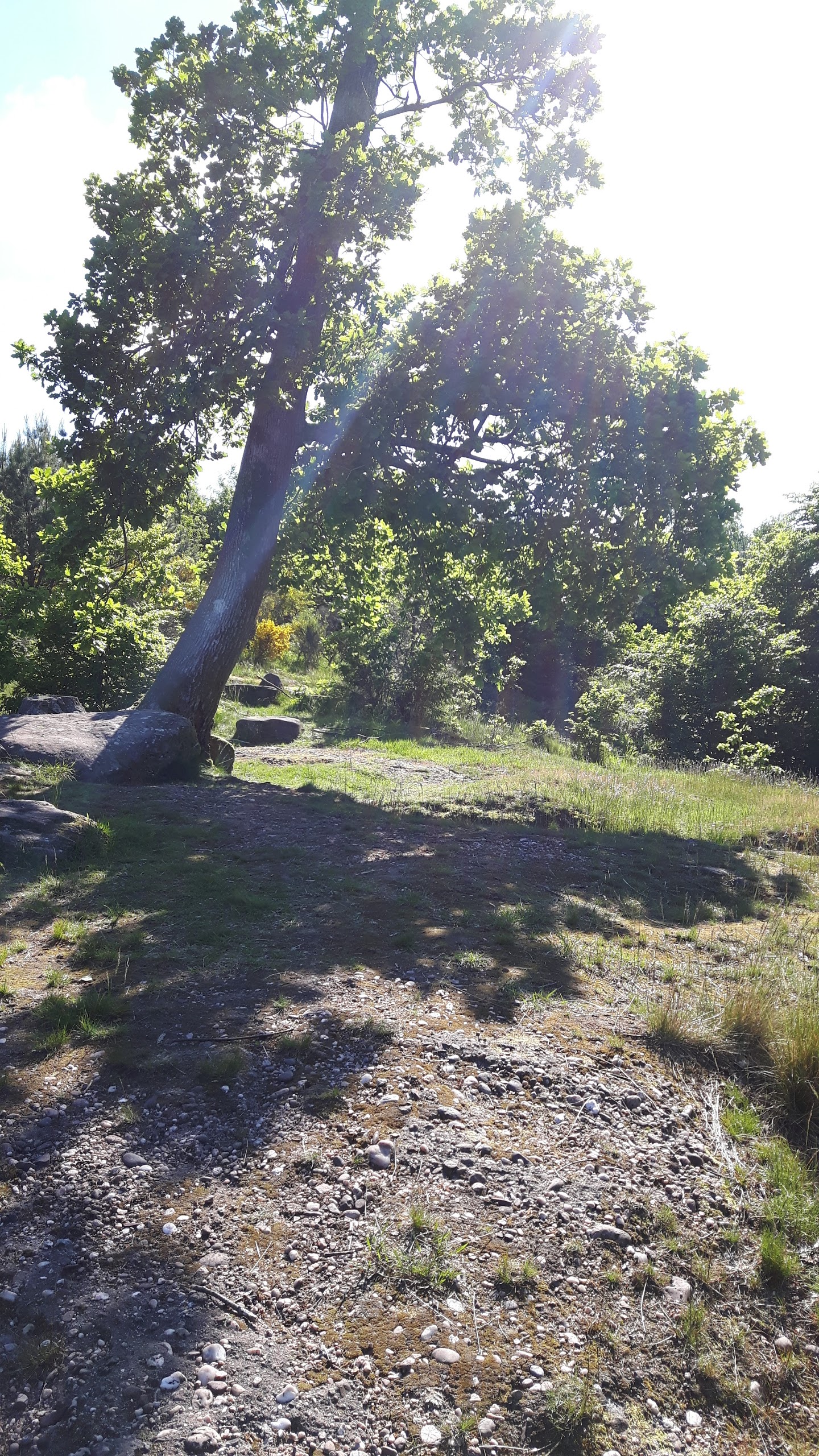 Photo n° 1 de l'avis de céline.h fait le 28/05/2017 à 07:39