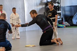 Resilience Martial Arts - Gracie Jiu-Jitsu Lakeville image