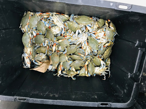 Convenience Store «Son Atlantic Market», reviews and photos, 135 Main St # 1, Danbury, CT 06810, USA