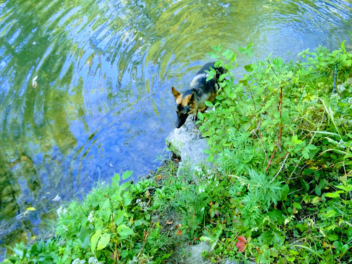 Country Club «Park Country Club», reviews and photos, 4949 Sheridan Dr, Williamsville, NY 14221, USA