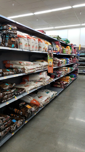 Discount Store «Walmart», reviews and photos, 777 Brockton Ave, Abington, MA 02351, USA