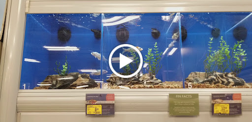 Pet Supply Store «PetSmart», reviews and photos, 700 N Milwaukee Ave, Vernon Hills, IL 60061, USA