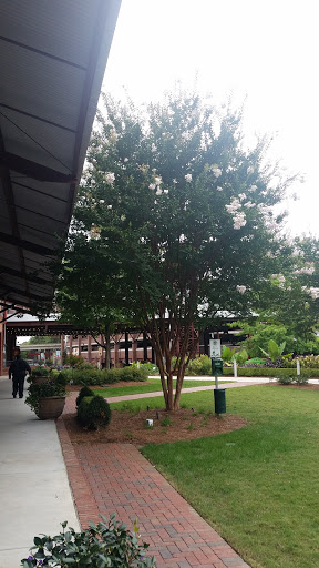 Stadium «Durham Bulls Athletic Park», reviews and photos, 409 Blackwell St, Durham, NC 27701, USA