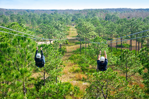 Tourist Attraction «Forever Florida», reviews and photos, 4755 North Kenansville Road, St Cloud, FL 34773, USA