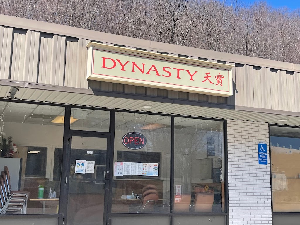 Dynasty 06790