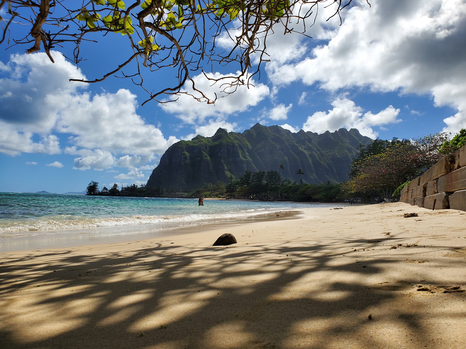 Foto de Kaaawa Beach - lugar popular entre os apreciadores de relaxamento