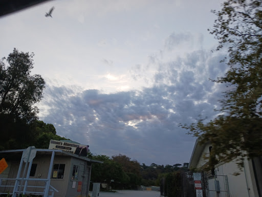 Photo of scott gillen