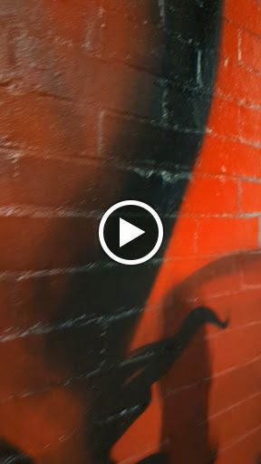 Find tattoo ideas with trees for your next unique tattoo in Augusta at True North Tattoos and Piercings