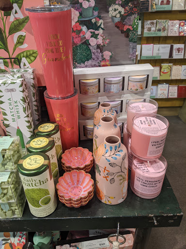 Stationery Store «Paper Source», reviews and photos, 15323 N Scottsdale Rd #103, Scottsdale, AZ 85254, USA