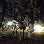 Photo n°3 de l'avis de L'.n fait le 27/09/2022 à 23:22 sur le  Lumos Pub à Ercolano