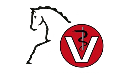 Tierärztin Elena Zeise / Tierärztliche Praxis für Pferde unter Görisried, 