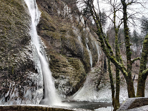 Waterfall «Horsetail Falls», reviews and photos, Historic Columbia River Hwy, Cascade Locks, OR 97014, USA