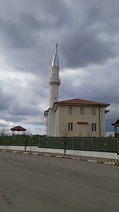 Джамия Токачка