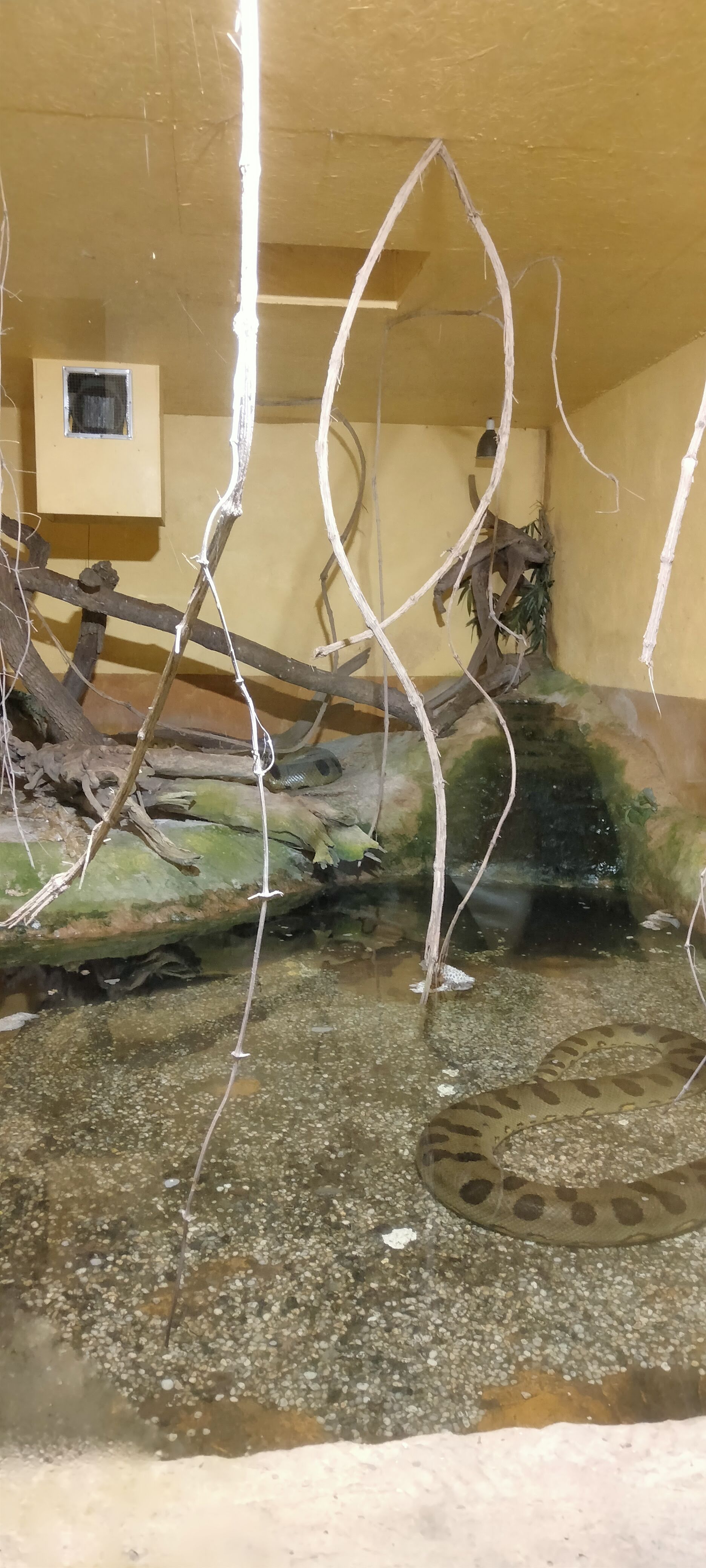 Photo n° 15 de l'avis de Dany.u fait le 19/03/2023 à 19:21