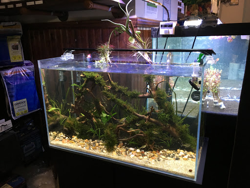 Tropical Fish Store «Aquastetics», reviews and photos, 354 E Main St, Fall River, MA 02724, USA