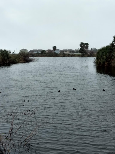 Public Golf Course «Moody Gardens Golf Course», reviews and photos, 1700 Sydnor Ln, Galveston, TX 77554, USA