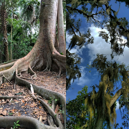 Nature Preserve «Emerson Point Preserve», reviews and photos, 5801 17th St W, Palmetto, FL 34221, USA