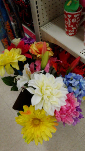 Discount Store «Dollar General», reviews and photos, 7800 W 130th St, Middleburg Heights, OH 44130, USA