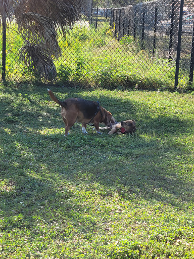 Dog Park «Apollo Beach Dog Park», reviews and photos, 664 Golf and Sea Blvd, Apollo Beach, FL 33572, USA