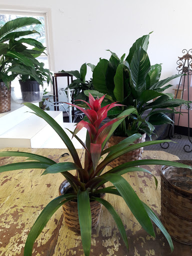 Florist «Lanierland Florist», reviews and photos, 301 Canton Rd, Cumming, GA 30040, USA