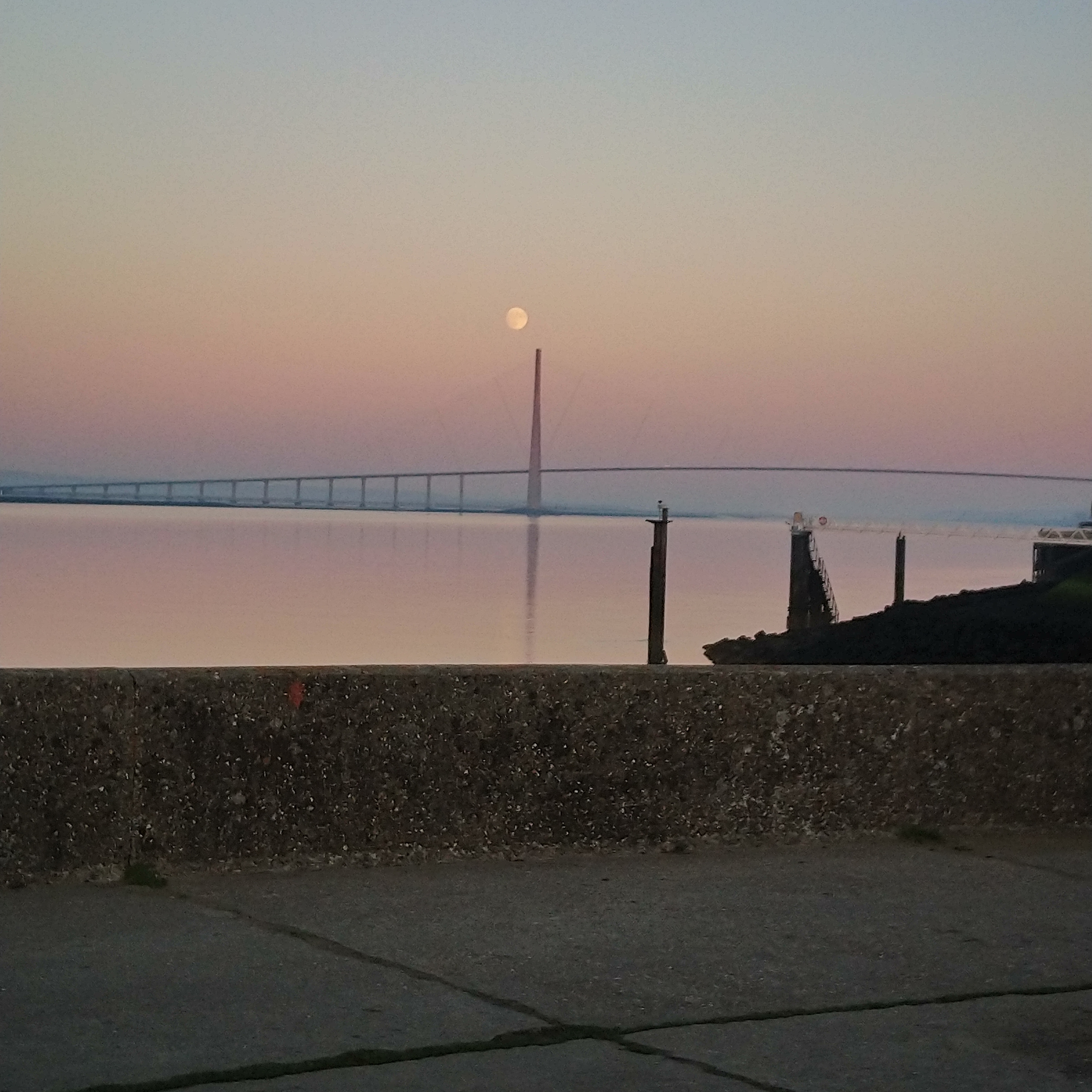Photo n° 3 de l'avis de Lucien.e fait le 28/07/2019 à 19:45