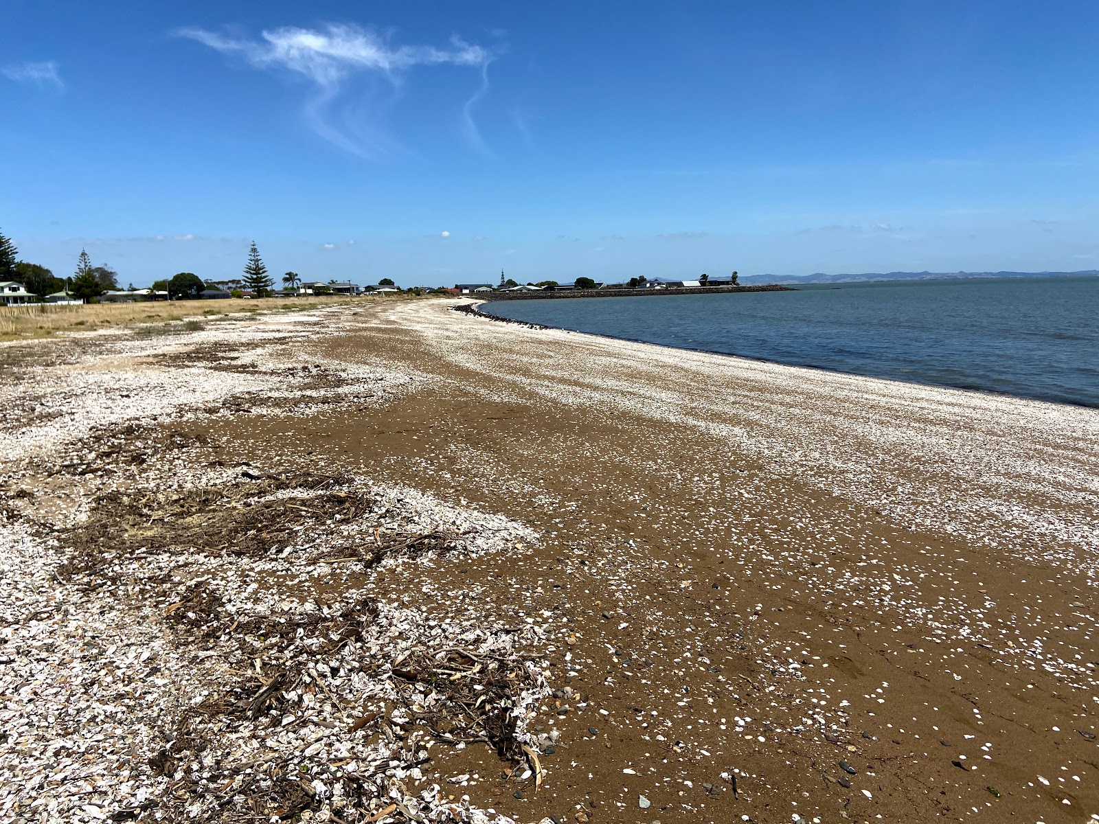 Foto di Kuranui Bay e l'insediamento