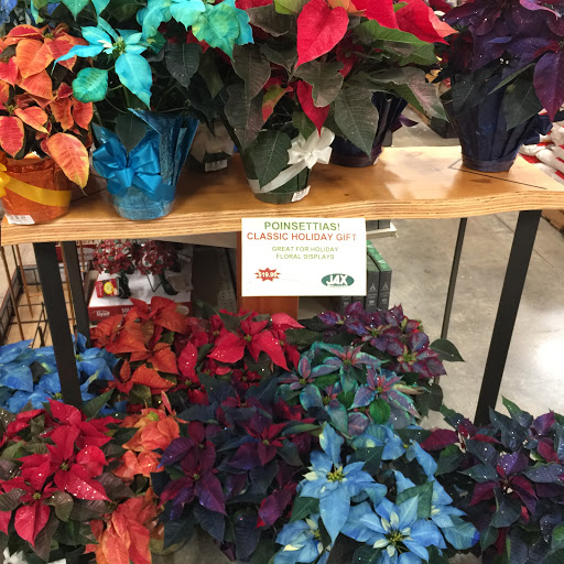 Shopping Mall «Broomfield Plaza», reviews and photos, 5015 W 120th Ave, Broomfield, CO 80020, USA