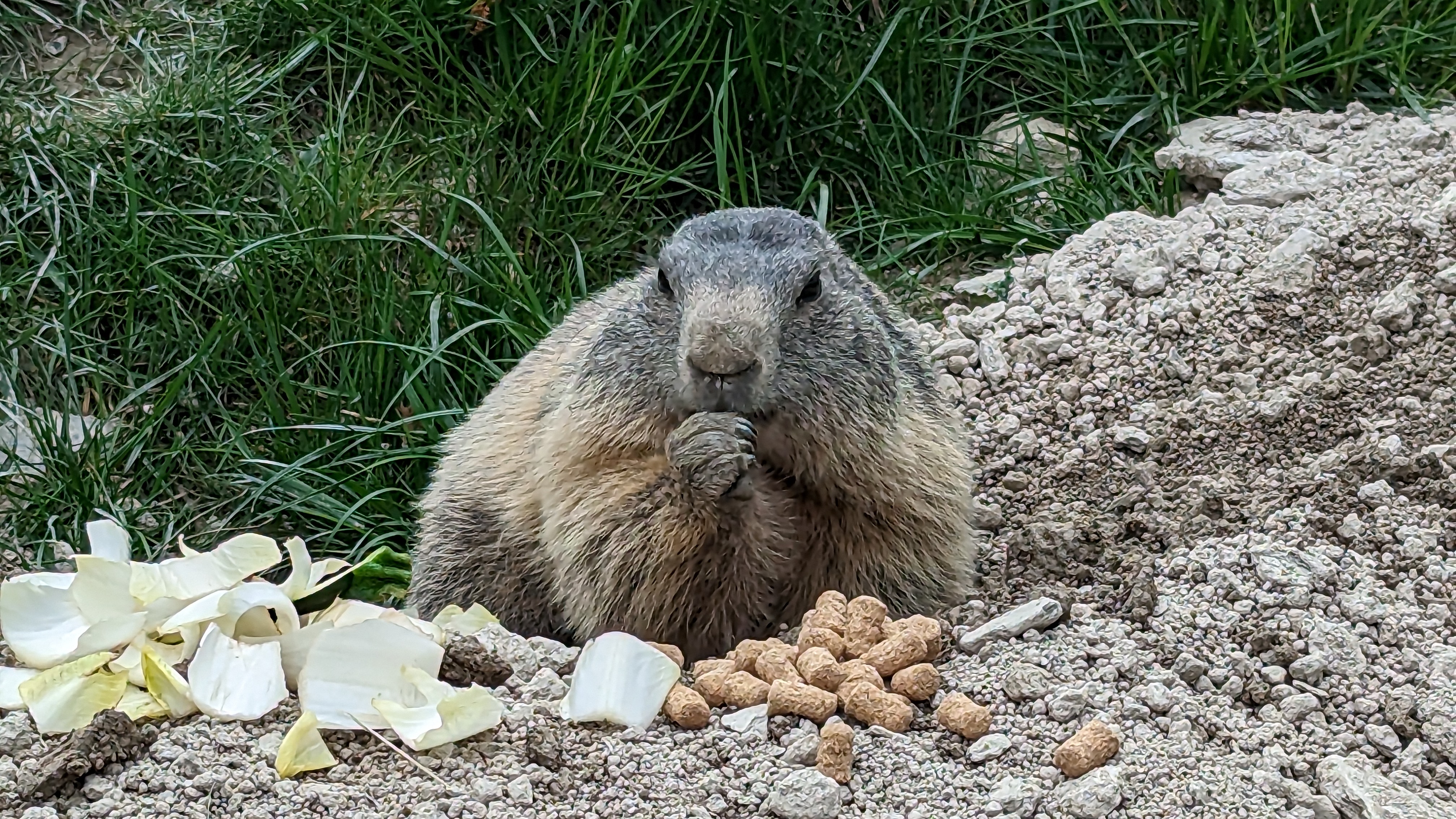 Photo n° 2 de l'avis de Christophe.O fait le 07/05/2023 à 13:37