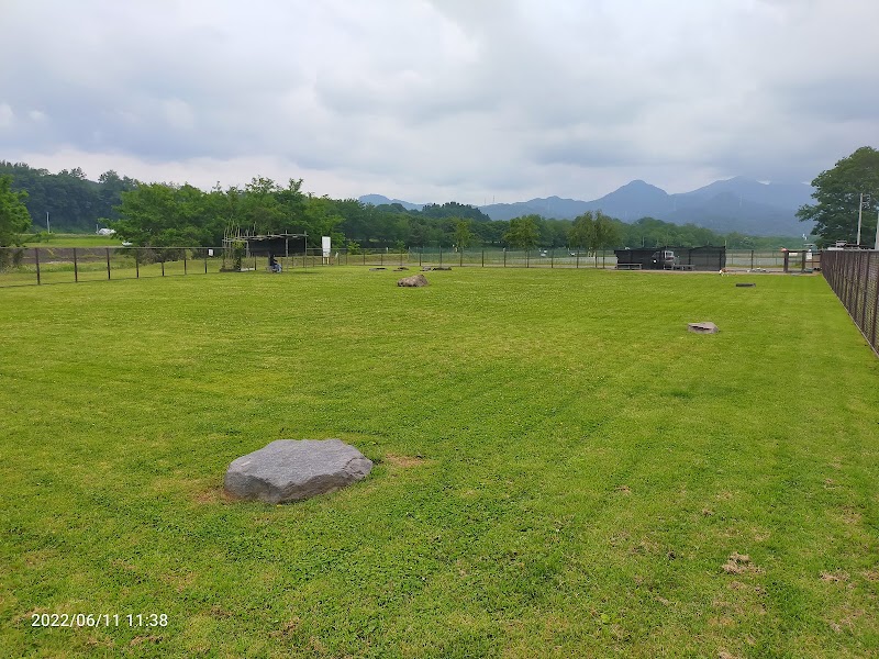 中之条町営河川敷ドッグラン ポチのひろば