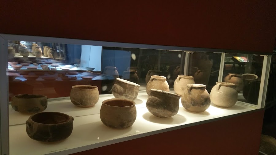 Factoría Romana de Salazones