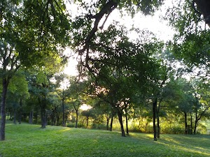 Veterans Park - photo 20