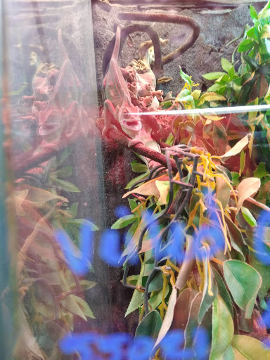 Pet Store «Petland», reviews and photos, 351 Diederich Blvd, Ashland, KY 41101, USA